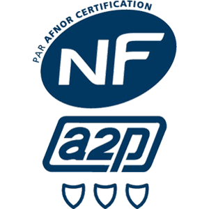 Logo NFA2P